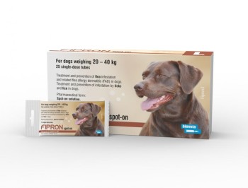 Bioveta Fipron L Pies 20-40 kg, krople na pchły i kleszcze, 1 tubka
