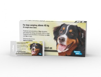 Bioveta Fipron XL Pies od 40 kg, krople na pchły i kleszcze, 1 tubka