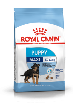 Royal Canin SHN Maxi Puppy BF, sucha karma dla szczeniąt dużych ras, 1 kg