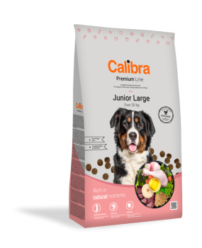 Calibra Dog Premium Junior Large, sucha karma dla szczeniąt ras dużych, 3 kg