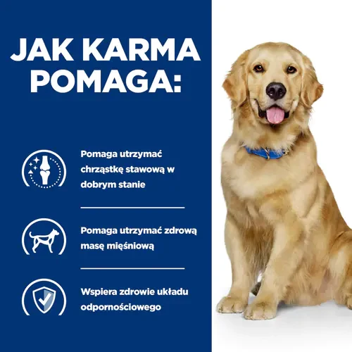 Najlepsza karma na stawy dla psa