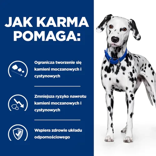 Najlepsza mokra karma dla psa na kamienie w pęcherzu moczowym