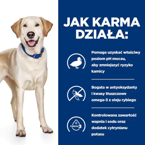 Jak działa Hill's PD Canine D/D Duck and Rice 4 kg — sucha karma z kaczką i ryżem dla psa alergika na problemy skórne