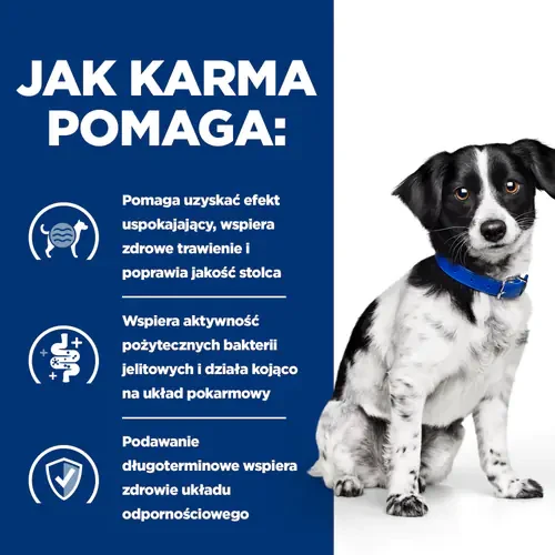 Jak pomaga Hill's PD i/d Stress Mini 1 kg — sucha karma dla psa z zaburzeniami trawienia