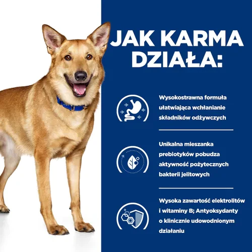 Jak działa Hill's PD Canine i/d Digestive Care Indyk 360 g puszka — mokra karma dla psa ze schorzeniami żołądkowo-jelitowymi