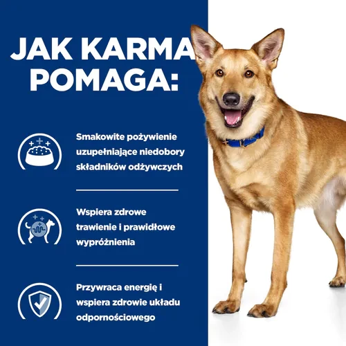Jak pomaga Hill's PD Digestive Care i/d stews 354 g puszka — mokra karma dla psa ze schorzeniami żołądkowo-jelitowymi, potrawka z kurczakiem i dodatkiem warzyw