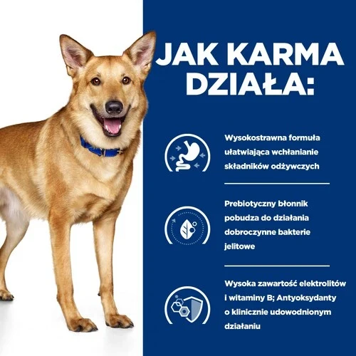 Jak działa Hill's PD Digestive Care i/d stews 354 g puszka — mokra karma dla psa ze schorzeniami żołądkowo-jelitowymi, potrawka z kurczakiem i dodatkiem warzyw