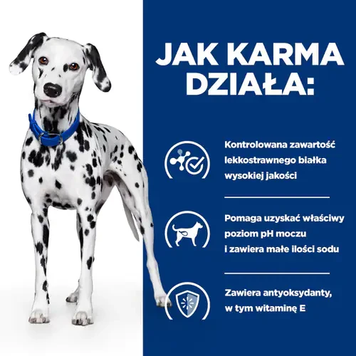 Jak działa Hill's PD Canine u/d 10 kg- karma dla psa z chorobami pęcherza moczowego