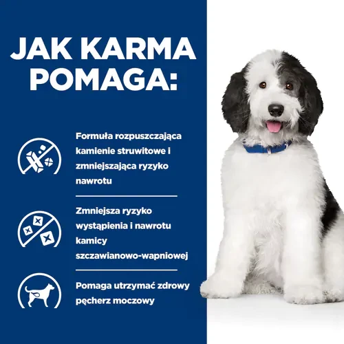 Jak pomaga Hill's PD Canine c/d 4 kg — sucha karma dla psa na kamienie w pęcherzu