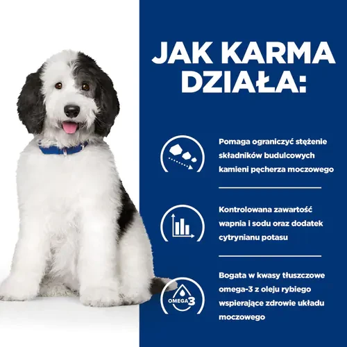 Jak działa Hill's PD Canine c/d 4 kg — sucha karma dla psa na kamienie w pęcherzu
