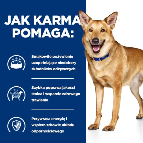 Jak pomaga Hill's PD Canine i/d 4 kg — sucha karma dla psa z zaburzeniami żołądkowo — jelitowymi