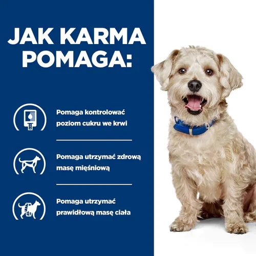 Jak pomaga Hill's PD w/d Canine — sucha karma dla psa z cukrzycą, 10 kg