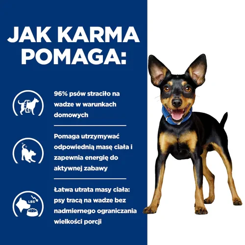 Jak pomaga Hill's PD Metabolic Mini Canine 1 kg - karma dla psa z nadwagą