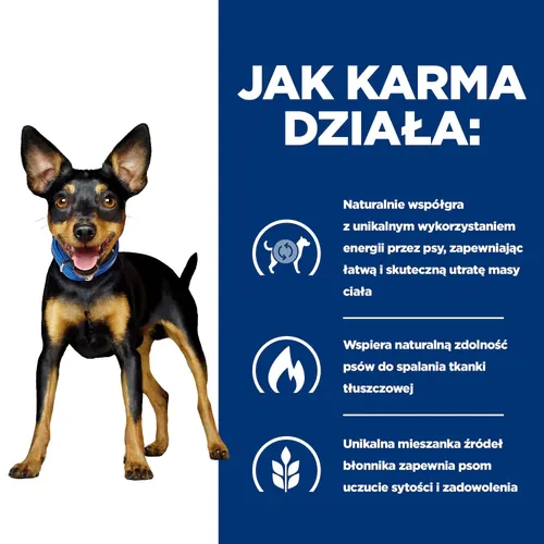 Jak działa Hill's PD Metabolic Mini Canine 1 kg - karma dla psa z nadwagą