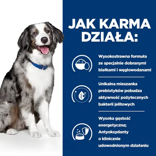 Jak działa Hill's PD Canine i/d digestive sensitive 12 kg - karma dla psa na schorzenia żołądkowo-jelitowe