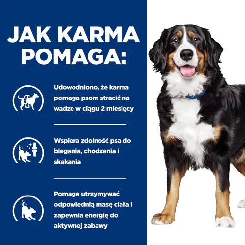 Jak pomaga Hill's PD Canine j/d Metabolic Mobility 12 kg - karma dla psa na nadwagę i stawy