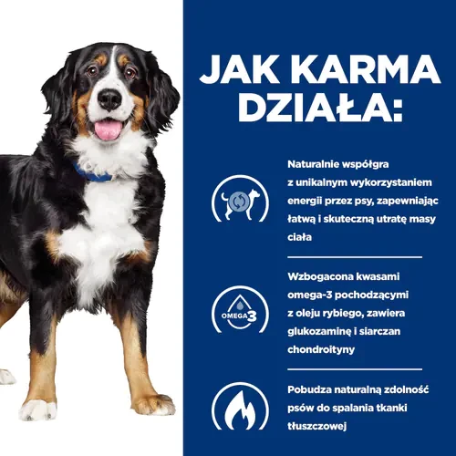 Jak działa Hill's PD Canine j/d Metabolic Mobility 12 kg - karma dla psa na nadwagę i stawy