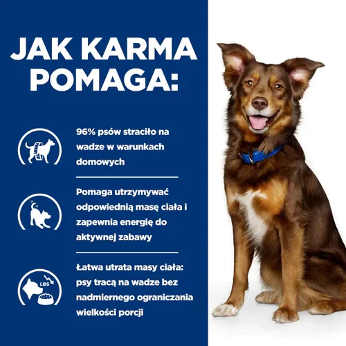 Jak pomaga Hill's Prescription Diet Canine Metabolic 12 kg - sucha karma dla psa na odchudzanie
