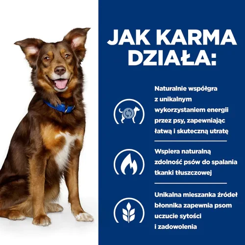Jak działa Hill's Prescription Diet Canine Metabolic 12 kg - sucha karma dla psa na odchudzanie