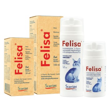 ScanVet Felisa, żel z lizyną na koci katar, 100 ml