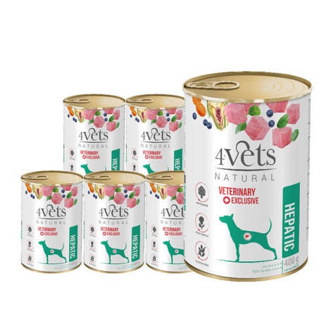 4vets hepatic 6.jpg