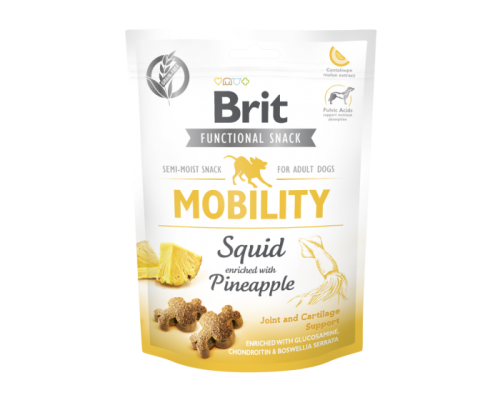 brit-care-functional-mobility-squid.png