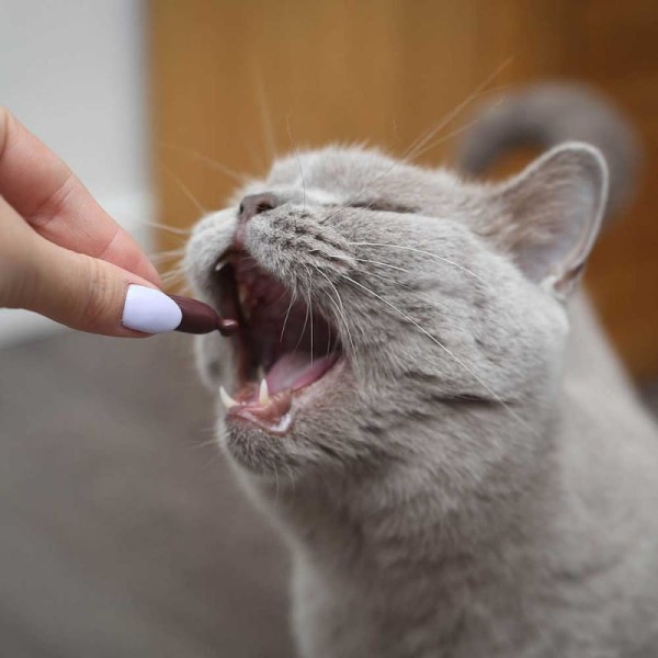 vet-expert-urinovet-cat-preparat-na-uklad-moczowy-dla-kotow (1).jpg