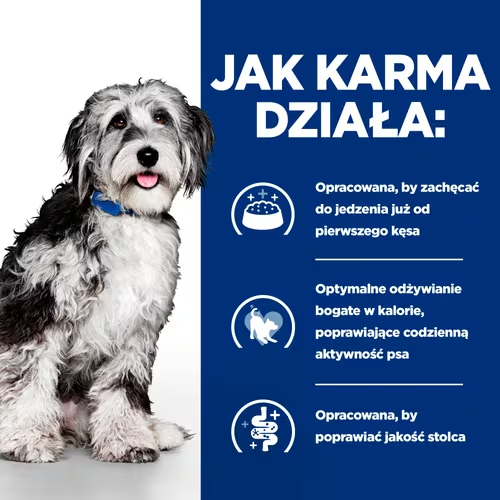 pd-canine-on-care-chicken-stew-productSpotlight2_500.png