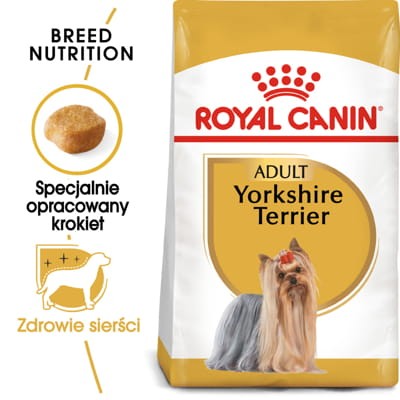 Yorkshire-Terrier-Adult-3kg.jpg