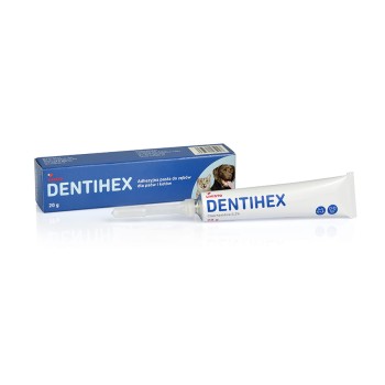 Livisto DentiHex, antybakteryjna pasta do zębów dla psów i kotów, 20 g