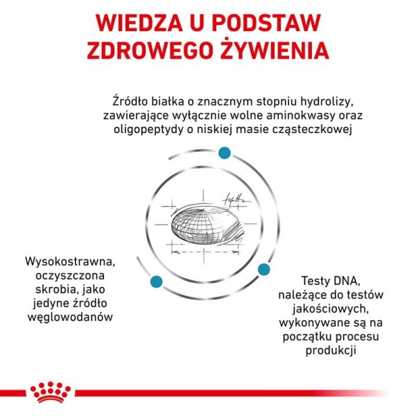 Royal Canin Anallergenic Small Dog, redukcja alergii, z hydrolizatem białka, sucha karma, 3 kg.jpg