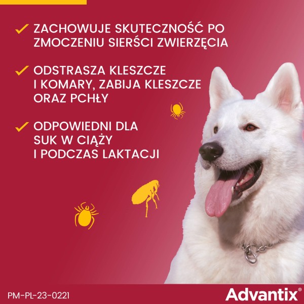 5909997024158_Thumbnail5.jpg
