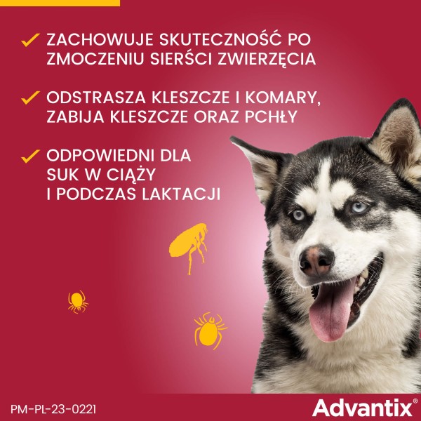 5909997024219_Thumbnail5.jpg