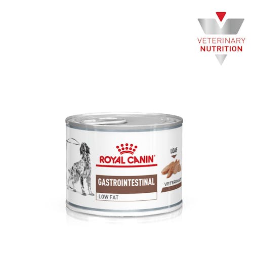 royal-canin-low-fat-200g.jpg