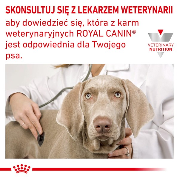ROYAL-CANIN-Veterinary-Dog-Hypoallergenic-sucha-karma-dla-doroslych-psow8.jpg