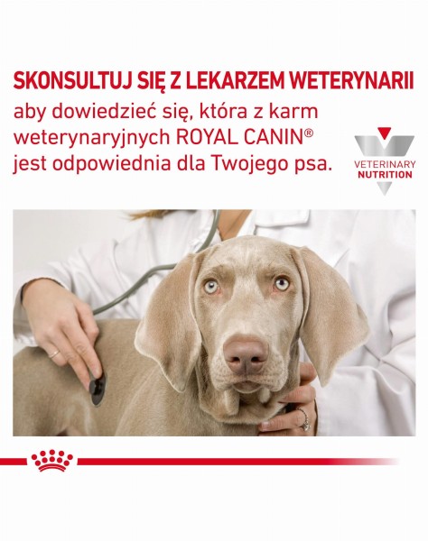 ROYAL CANIN VET Dog Gastro Intestinal sucha karma dla psów na zaburzenia żołądkowo-jelitowe 15 kg.jpg