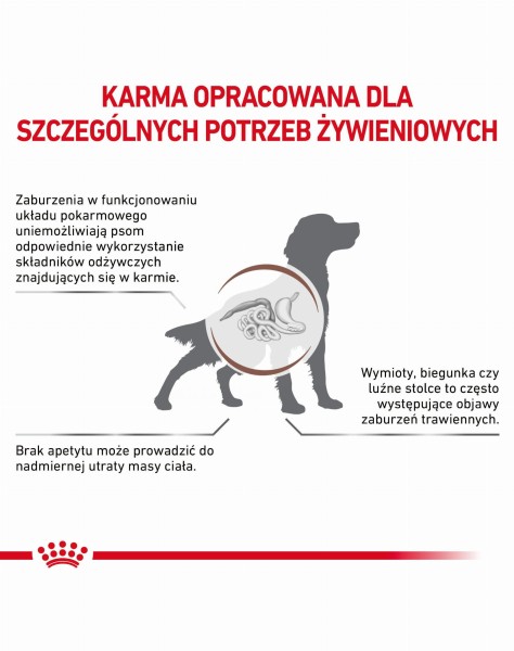 ROYAL CANIN VET Dog Gastro Intestinal sucha karma dla psów na zaburzenia żołądkowo-jelitowe 15 kg7.jpg