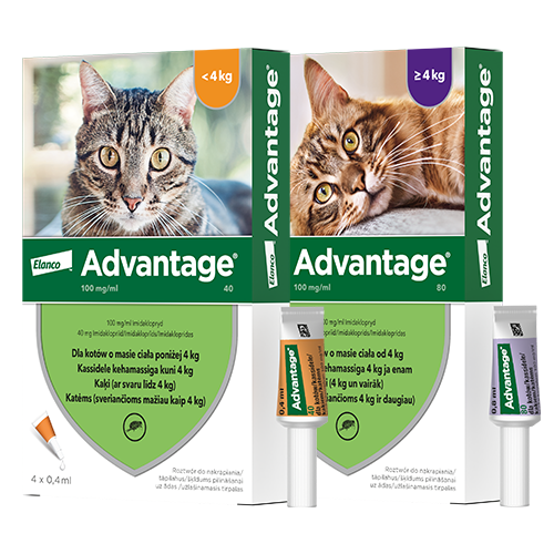 Advantage_Elanco_Packshot_500x500.png