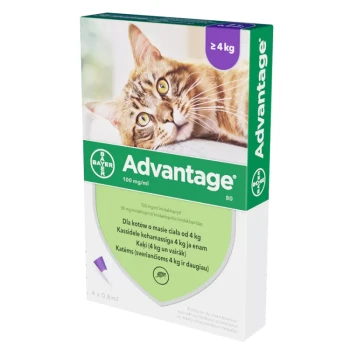 Advantage - roztwór do nakraplania przeciwko pchłom, dla kotów powyżej 4 kg, 4 pipetki