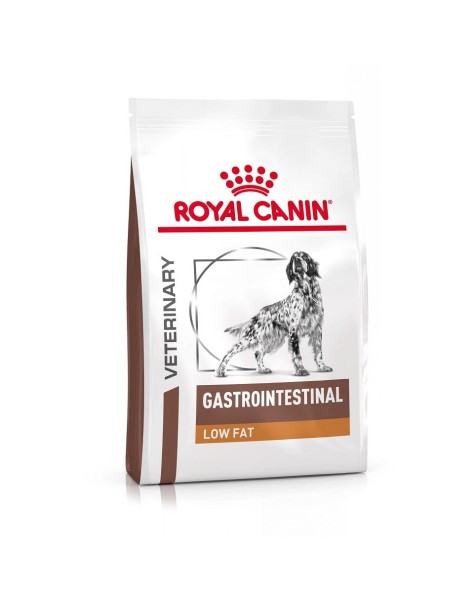 RC-VHN-GastrointestinalLowFatDog-MV-Eretailkit-1-pl_PL.pdf_mlhq-u8.jpg