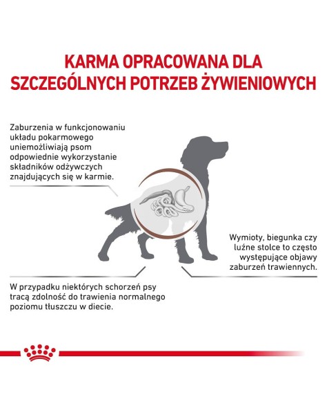RC-VHN-GastrointestinalLowFatDog-CV-Eretailkit-2-pl_PL.pdf.jpg