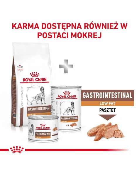 RC-VHN-GastrointestinalLowFatDog-CV-Eretailkit-8-pl_PL.pdf.jpg