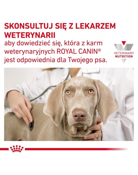 RC-VHN-GastrointestinalLowFatDog-CV-Eretailkit-9-pl_PL.pdf.jpg