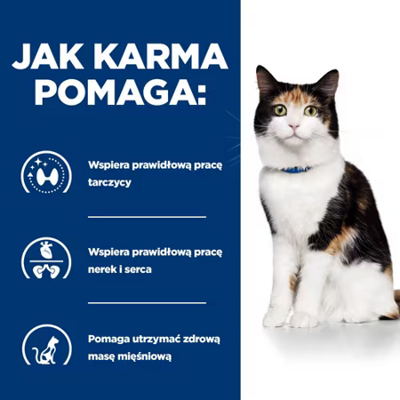 pol_pm_HILLS-Thyroid-Care-y-d-sucha-karma-dla-kota-3-kg-37025_3.png