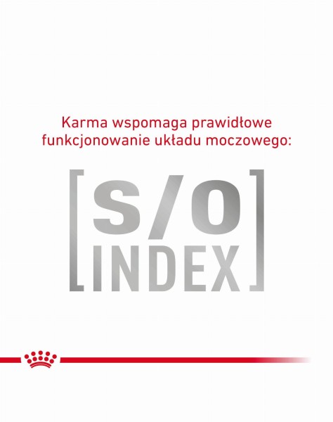3182550771344_6.jpg