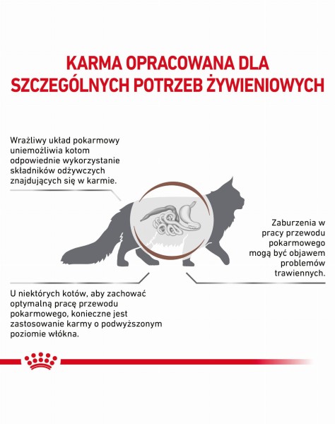 3182550771344_3_9ci3-az.jpg