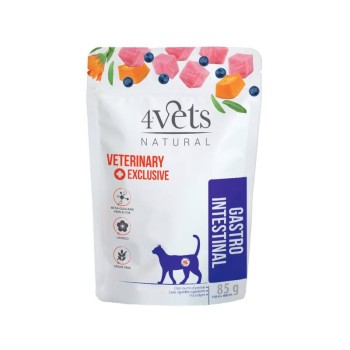 Dolina Noteci 4Vets Cat Gastrointestinal- mokra karma dla kotów z problemami gastrycznymi, 85 g