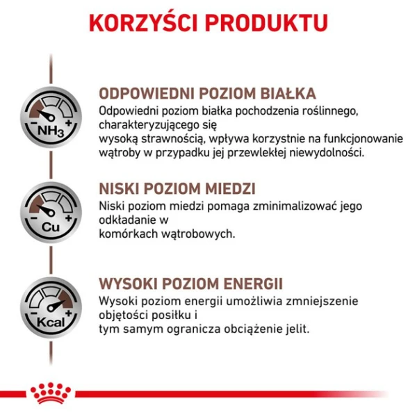 313461923.webp