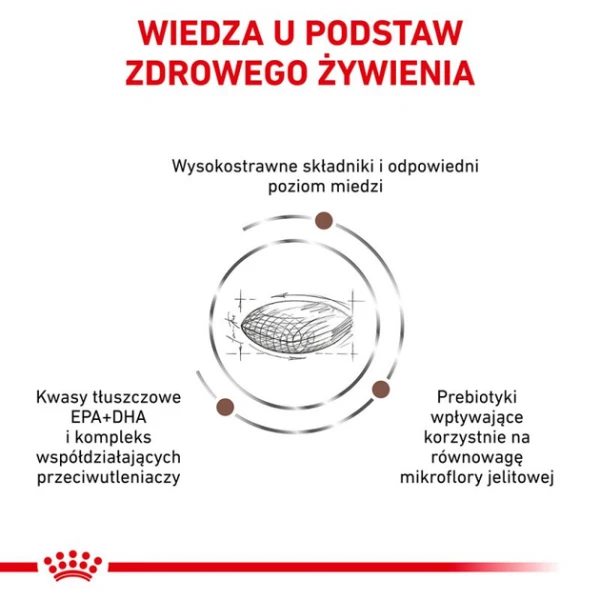 313461922.webp
