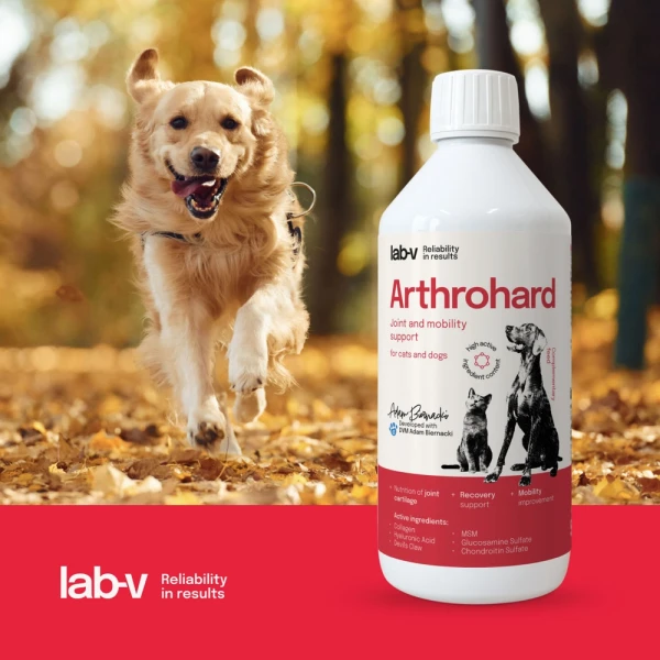 pol_pl_LAB-V-Arthrohard-500ml-Preparat-na-wsparcie-stawow-dla-psa-i-kota-67967_9.webp